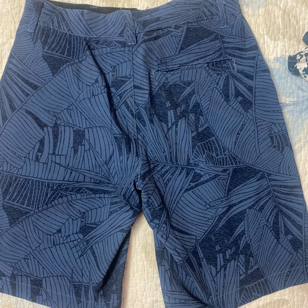 Shorts - Picture 2 of 3